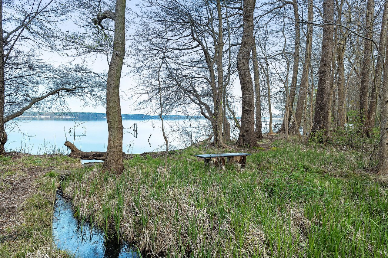 Uferbereich mit Bäumen am See, Ferienhaus Am Schwielochsee 2 in Schwielochsee, Brandenburg