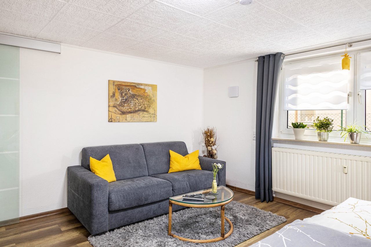Wohnbereich mit Sofa und Couchtisch, Angie’s Ferienapartment in Lichtenfels, Bayern