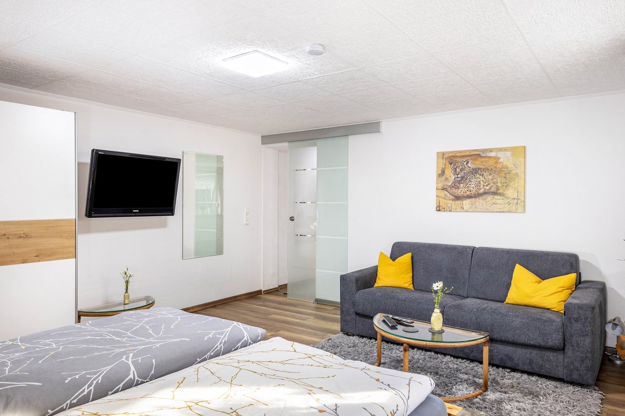 Wohnbereich mit Sofa und Fernseher, Angie’s Ferienapartment in Lichtenfels, Bayern