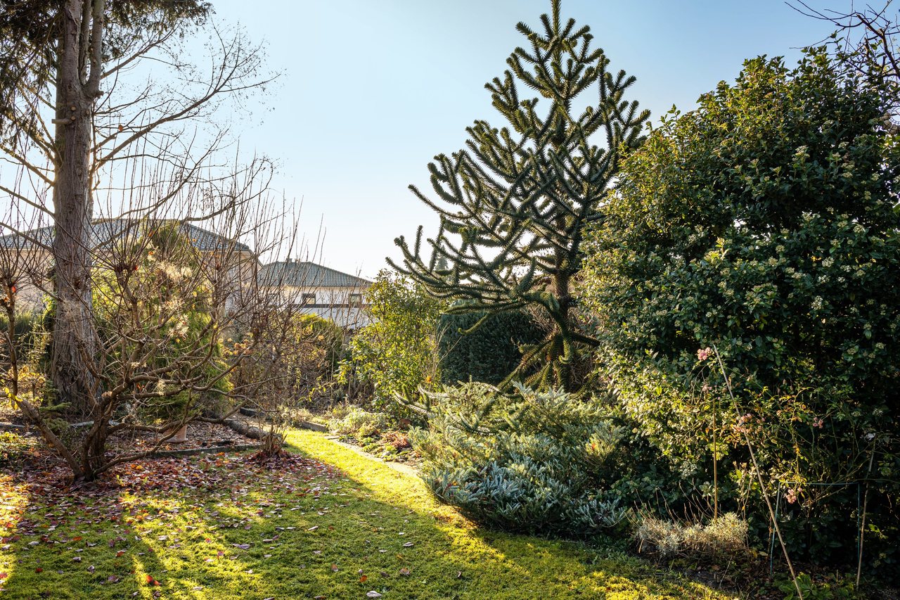 Garten mit Rasenfläche, Ferienwohnung Viering in Bernau, Brandenburg