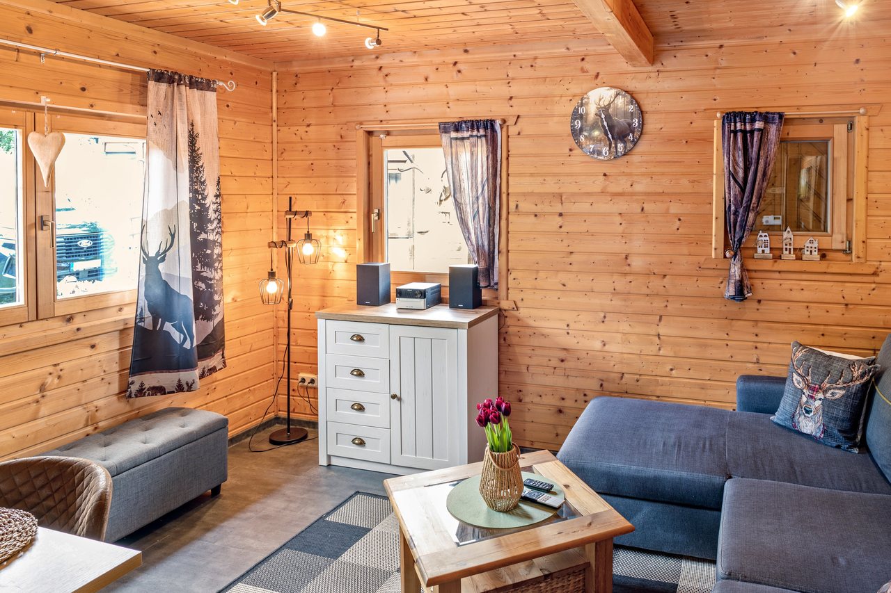 Wohnbereich mit Sofa und Kommode, Ferienhaus Obert in Drognitz, Thüringen